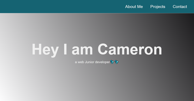 Portfolio Website